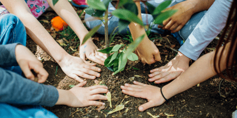 Sustainability Activities for the Classroom